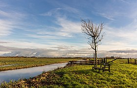 Kop Blokslootpolder (Bloksleatpolder) . Panorama.