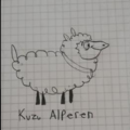 Kuzu Alpella