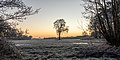 * Nomination Sunrise in the Reckelsum hamlet in Lüdinghausen, North Rhine-Westphalia, Germany --XRay 04:45, 12 January 2022 (UTC) * Promotion  Support Good quality. --Tournasol7 05:36, 12 January 2022 (UTC)