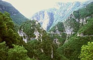 Col de Turini/Alpes Maritimes