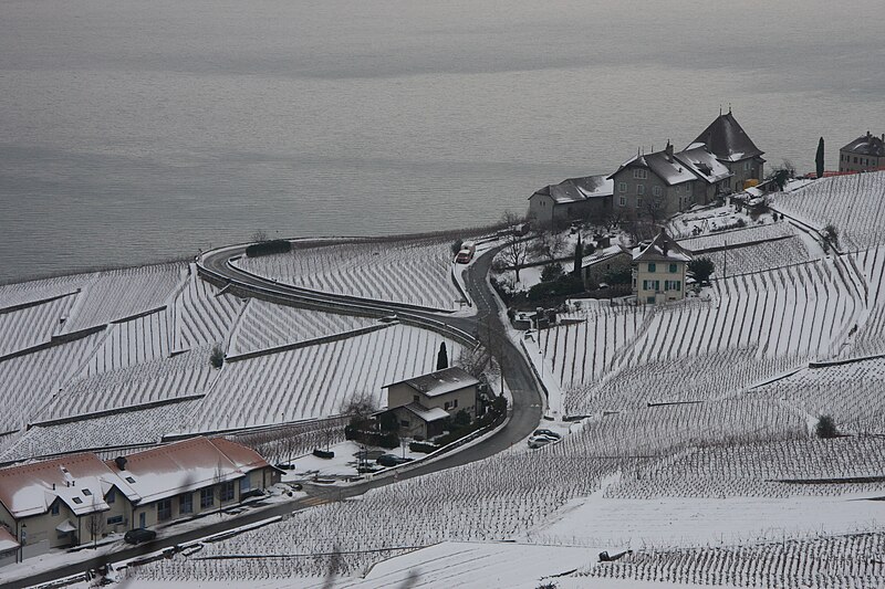 File:Lavaux sous la neige.jpg