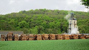Fabrication du charbon de bois