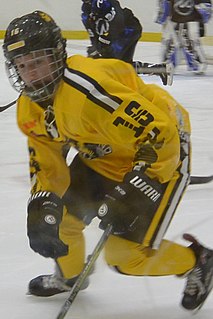 <span class="mw-page-title-main">Lexie Laing</span> American ice hockey forward