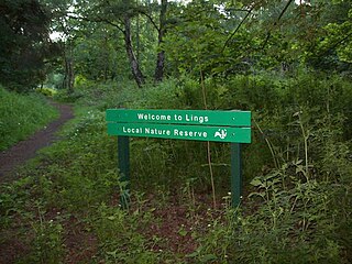 <span class="mw-page-title-main">Lings Wood Nature Reserve</span>