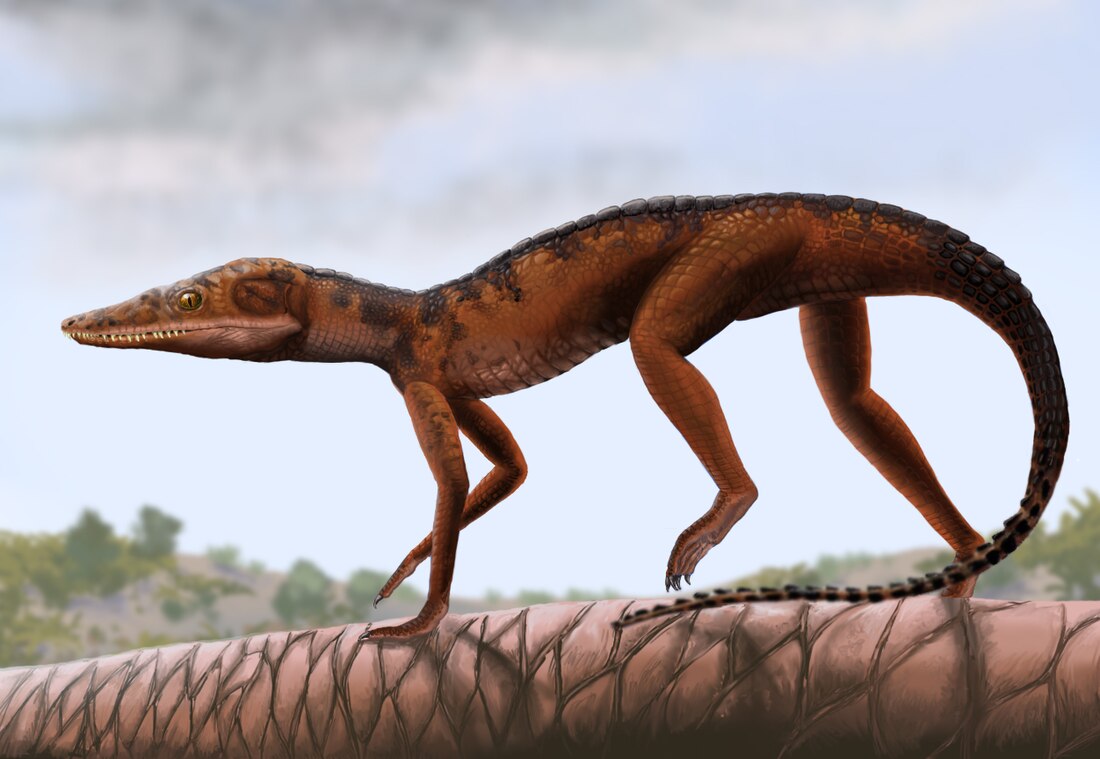 Litargosuchus