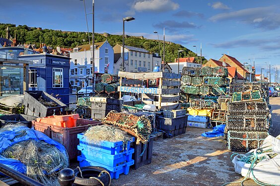 Lobster traps at the harbour.