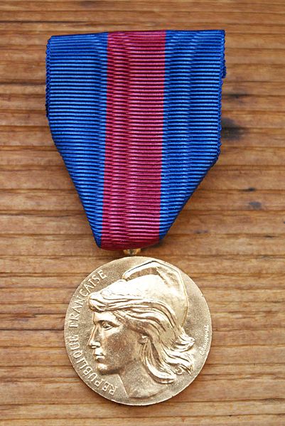 File:Médaille des ervices militaires volontaires bronze.JPG