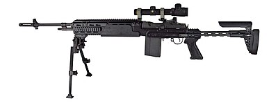 Designated marksman rifle