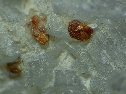 גבישי מקינואיט במסת אם. רוחב התמונה 4 מ"מ. מכרה האפטיט קירובסקי, הר חביני, חצי האי קולה, רוסיה.