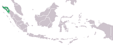 Phân bố ở Indonesia