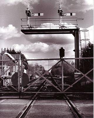 <span class="mw-page-title-main">Marchwood railway station</span> Railway station in Marchwood, England