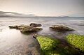 Maria Island, Tasmania, Australia