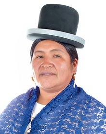 Martha Poma Luque (Official Photo, 2012) Chamber of Senators of Bolivia.png