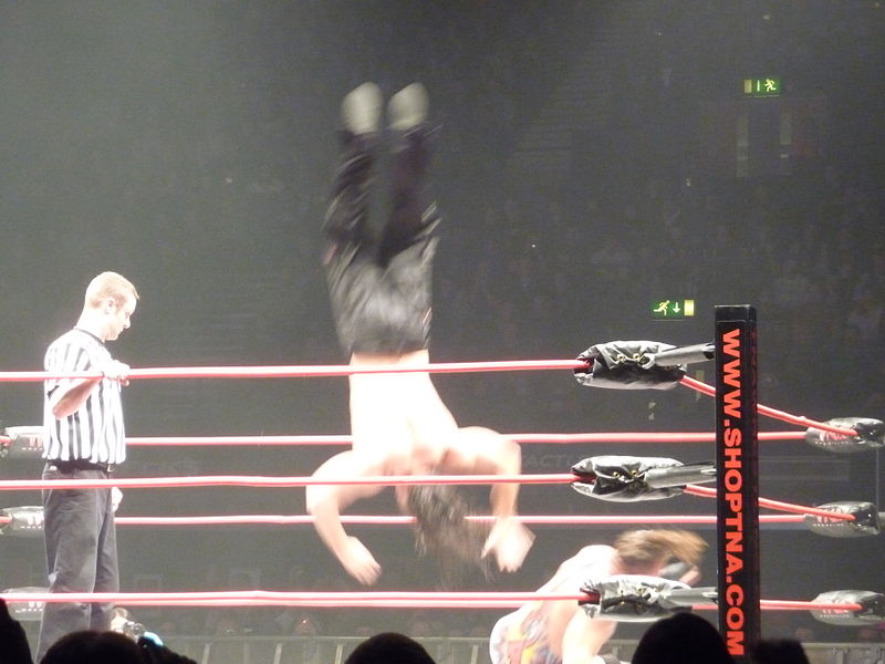 File:Matt Hardy vs Rob Van Dam.jpg