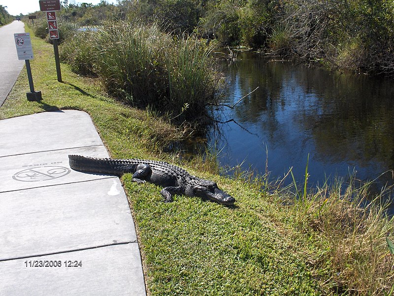 File:Miami-Dade County, FL, USA - panoramio (24).jpg