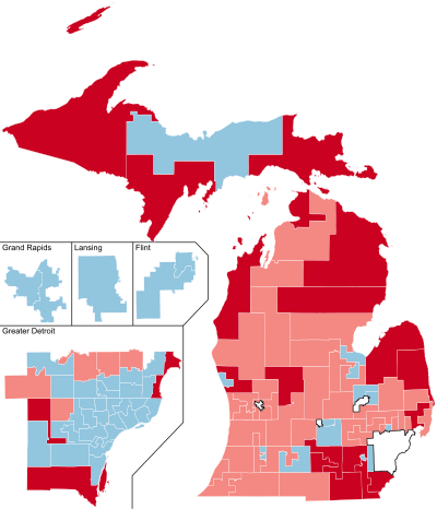 2010 Michigan House of Representatives election