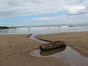 Sabbie di Coldingham