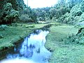 Mkuzi River