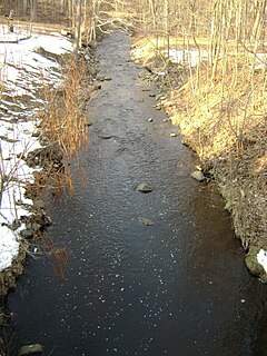 Molly Ann Brook River in New Jersey, United States