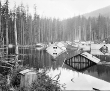 Steigendes Hochwasser, 1915