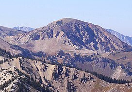 Mount Baldy from Clayton Peak.jpg