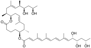 <span class="mw-page-title-main">Mycolactone</span> Chemical compound