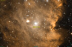 NGC 2175 DSS.jpg