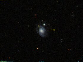NGC 2923 SDSS.jpg