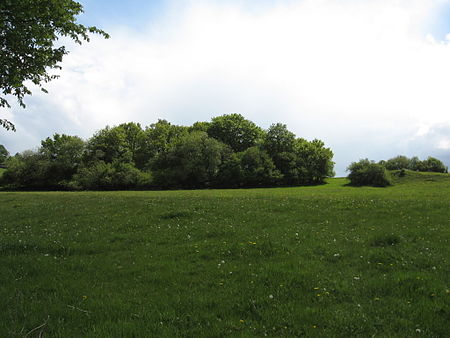 Naturschutzgebiet Niedermühle 1