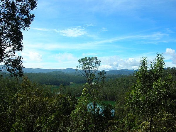 View of Nilgiri Mountains and its forests