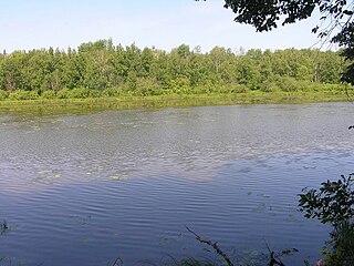 <span class="mw-page-title-main">Nurgush Nature Reserve</span> Strict nature reserve in Kirov Oblast, Russia