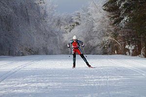 Olympic skier in ice storm.jpg