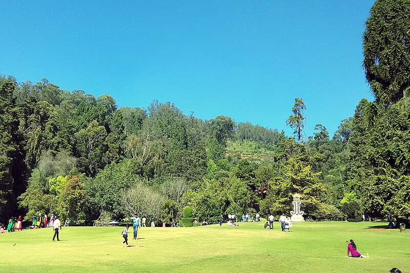 File:Ooty Botanical Garden Greenery.jpg