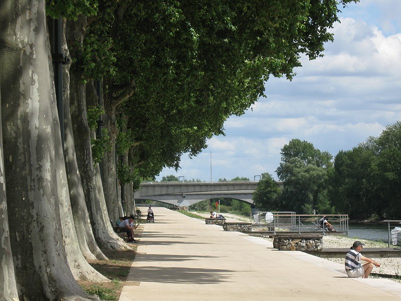 Les quais aménagés en promenade au bord de la Loire.