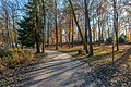 English: Autumnal park Deutsch: Herbstlicher Park