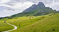 * Nomination Pasture under the Pütia peak in Val Badia. --Moroder 04:24, 9 July 2019 (UTC) * Promotion  Support Good quality. --Uoaei1 04:56, 9 July 2019 (UTC)