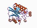 Thumbnail for Endonuclease/Exonuclease/phosphatase family