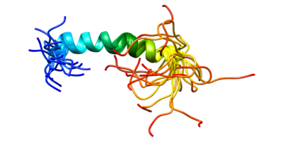 CD31