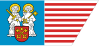 Bandeira do Condado de Posnânia