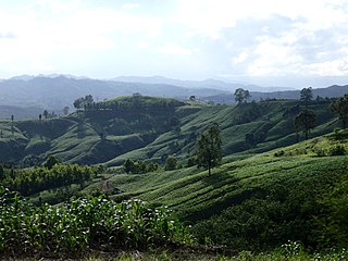 <span class="mw-page-title-main">Santi Suk district</span> District in Nan, Thailand