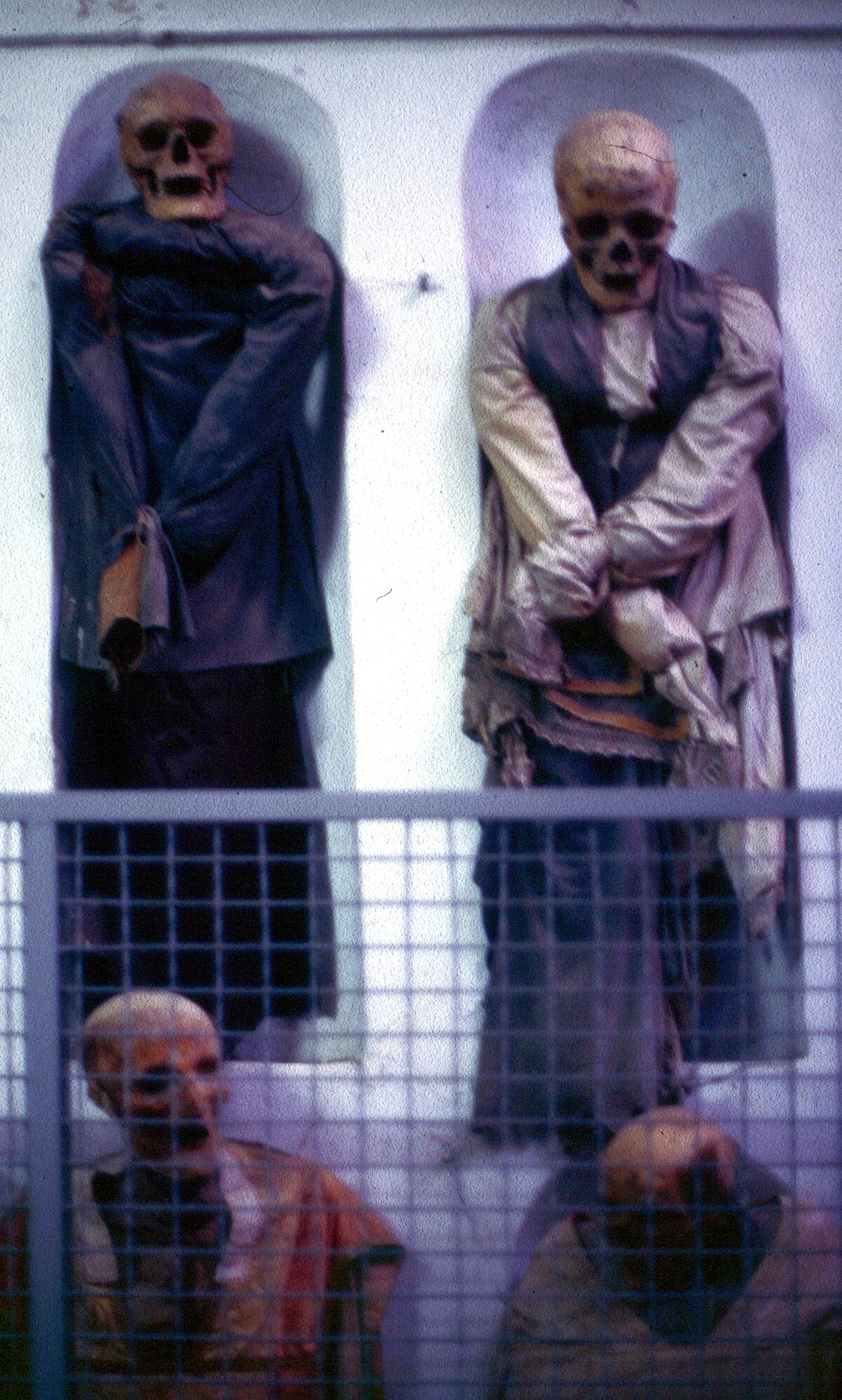 File Palermo 122 Kapuzinergruft Hinter Gittern 1986 Gje Jpg