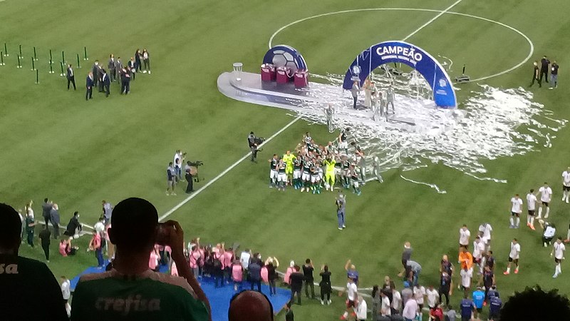 File:Palmeiras Campeão Recopa.jpg