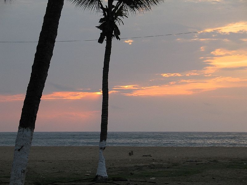 File:Palms at the beach in Sumbe, Angola.jpg