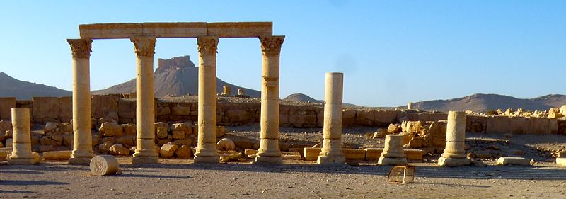 File:Palmyra looking through column towards the hill 2009.jpg