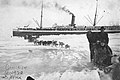Passengers being transported over ice to shore by dogsled from steam ship, Nome (4322470001).jpg