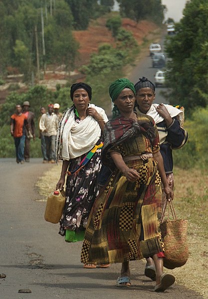 File:Pedestrians (5071681767).jpg