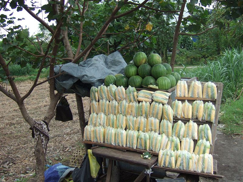 File:Penjual jagung di Bali.JPG