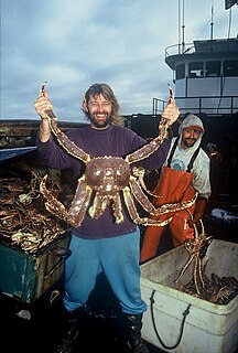 Phil Harris (fisherman) American nautical captain