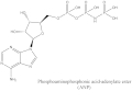 Phosphoaminophosphonij acid adenylate ester (ANP).gif