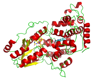 <span class="mw-page-title-main">Photolyase</span>